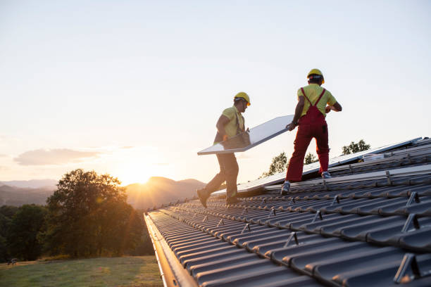 Best Roof Moss and Algae Removal  in Posen, IL