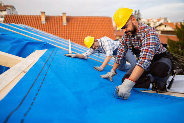 Best Roof Insulation Installation  in Posen, IL