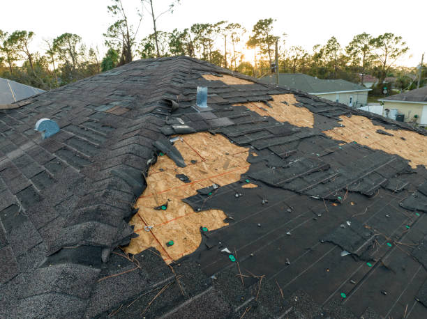 Best Roof Leak Repair  in Posen, IL